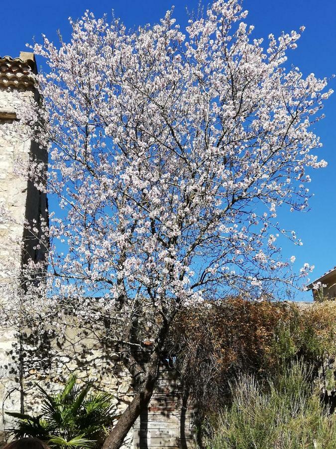 Studio Gard Calme Et Nature Russan Exterior photo
